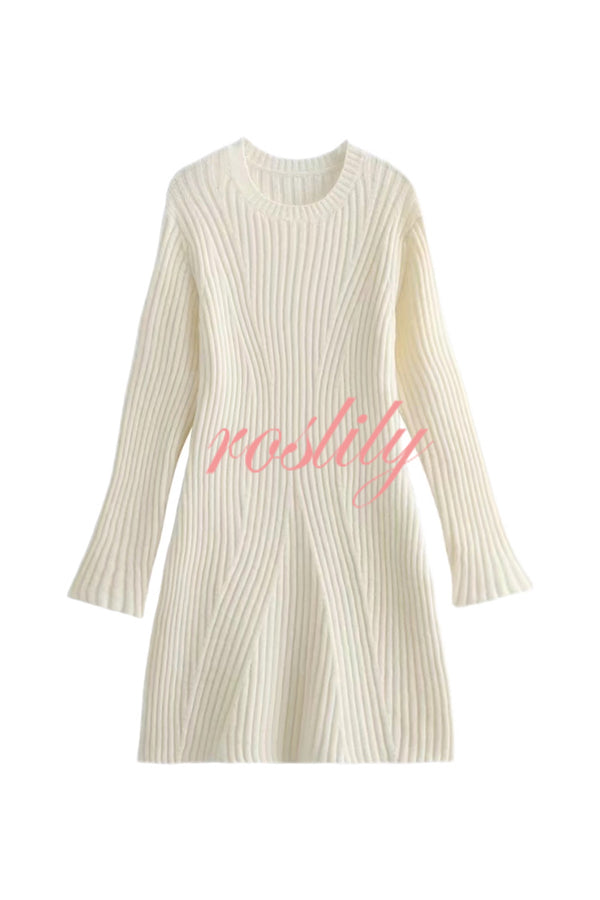 Beautiful Basic Ribbed Knit Long Slit Sleeve Flare Stretch Dress