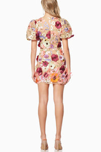 Garden Gala Embroidered Floral Applique Puff Sleeve Mini Dress