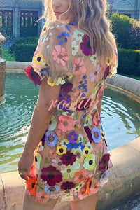 Garden Gala Embroidered Floral Applique Puff Sleeve Mini Dress