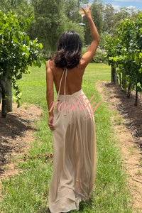 Ethereal Moment Tulle Cutout Ruched Waist Backless Halter Maxi Dress