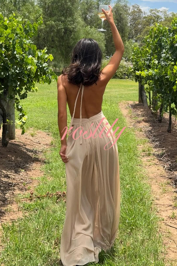 Ethereal Moment Tulle Cutout Ruched Waist Backless Halter Maxi Dress