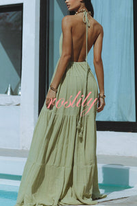 Laelia Linen Blend Halter Backless Slit Cover Up Maxi Dress