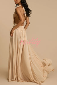 Ethereal Moment Tulle Cutout Ruched Waist Backless Halter Maxi Dress