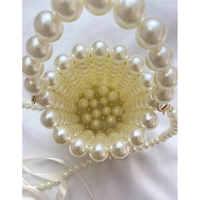 Pearl Bead Bag