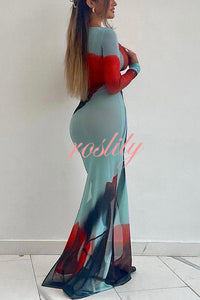 Mesh Floral Print Round Neck Long Sleeve Stretch Maxi Dress