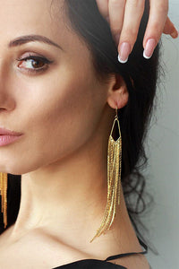 Vintage Long Tassel Earrings